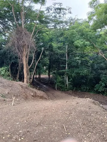 Barrero Street Rincon PR 00677