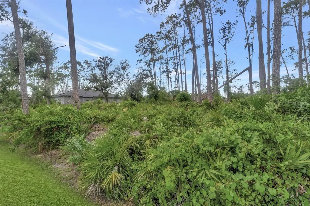 3793 Circleville Street North Port FL 34286
