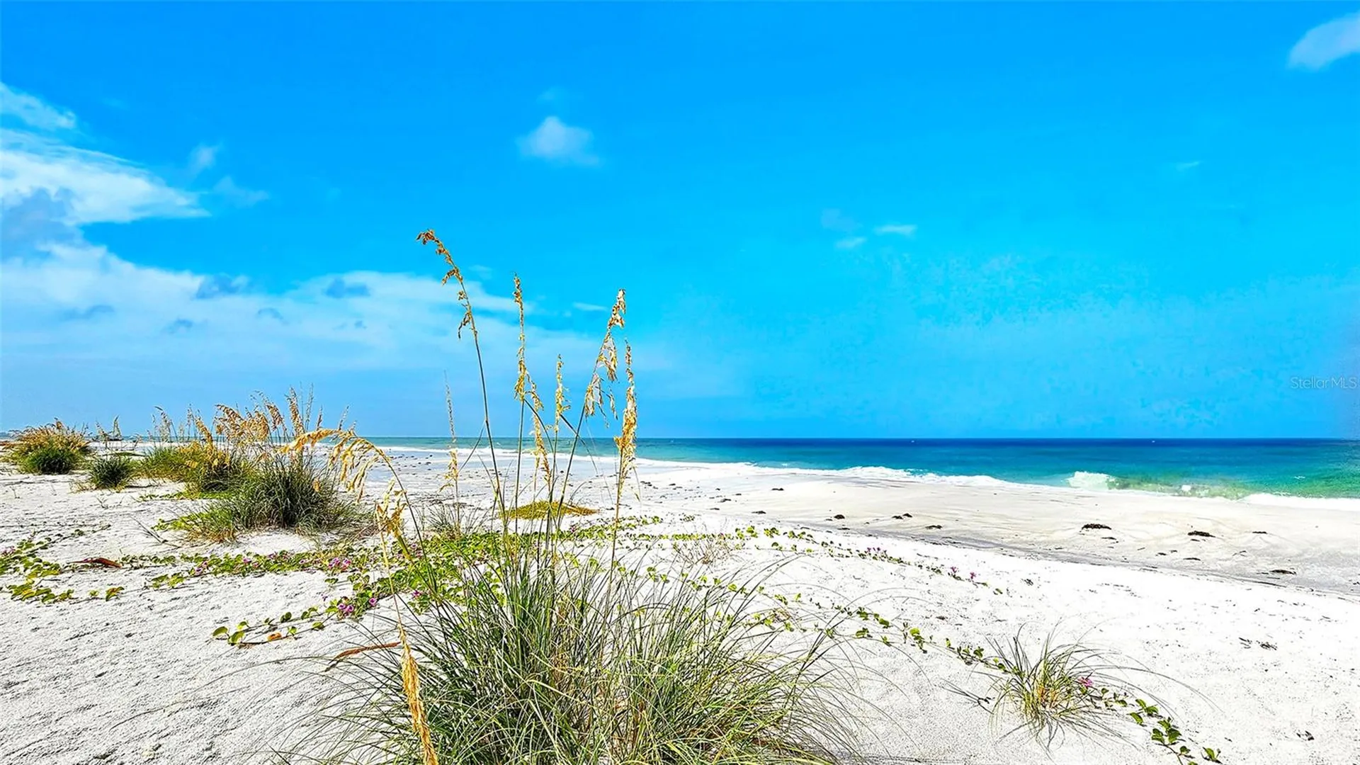 7115 Gulf Of Mexico Drive Longboat Key FL 34228