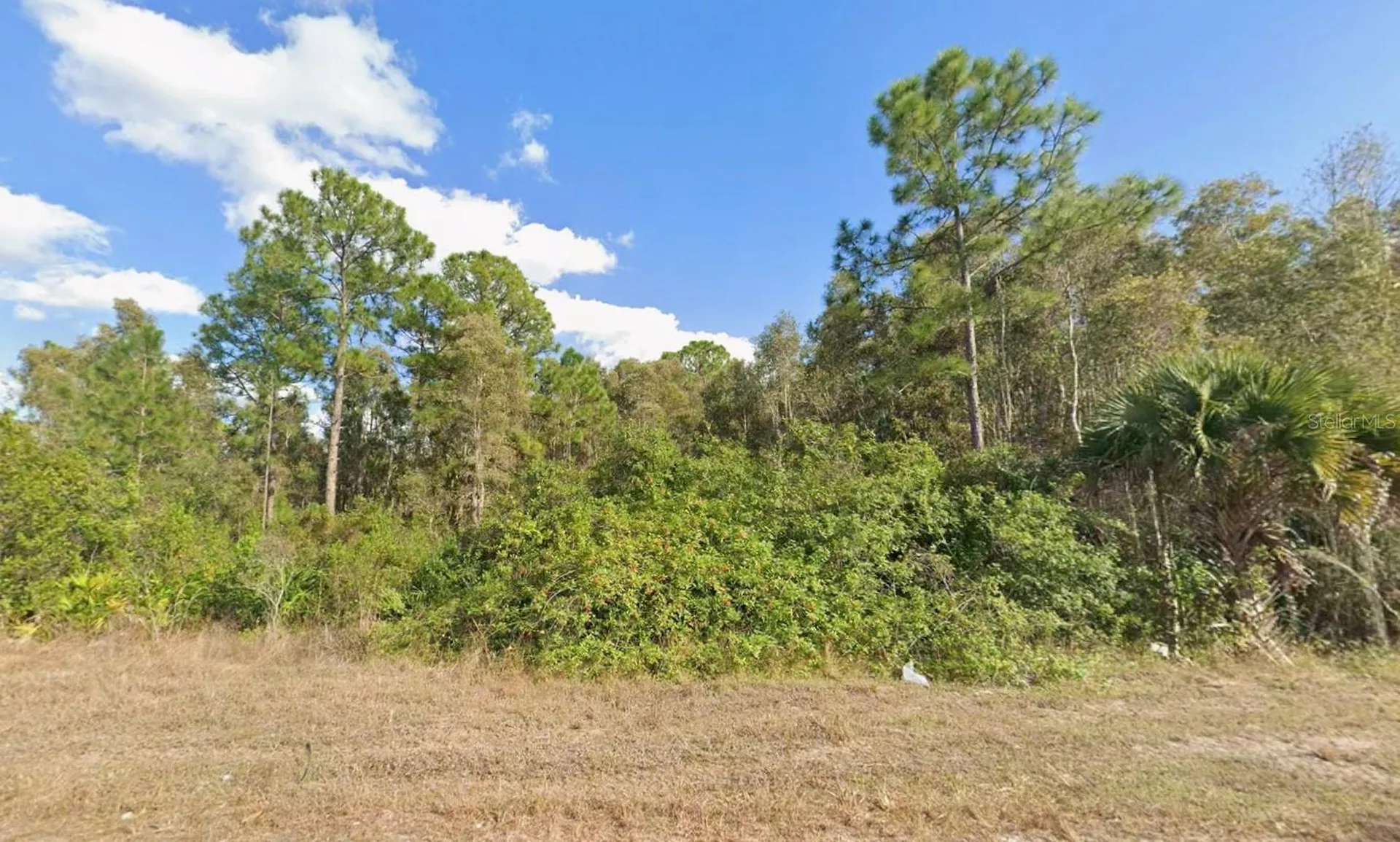 1013 Legion Avenue Lehigh Acres FL 33974