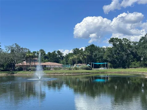 6440 Spring Flower Drive New Port Richey FL 34653