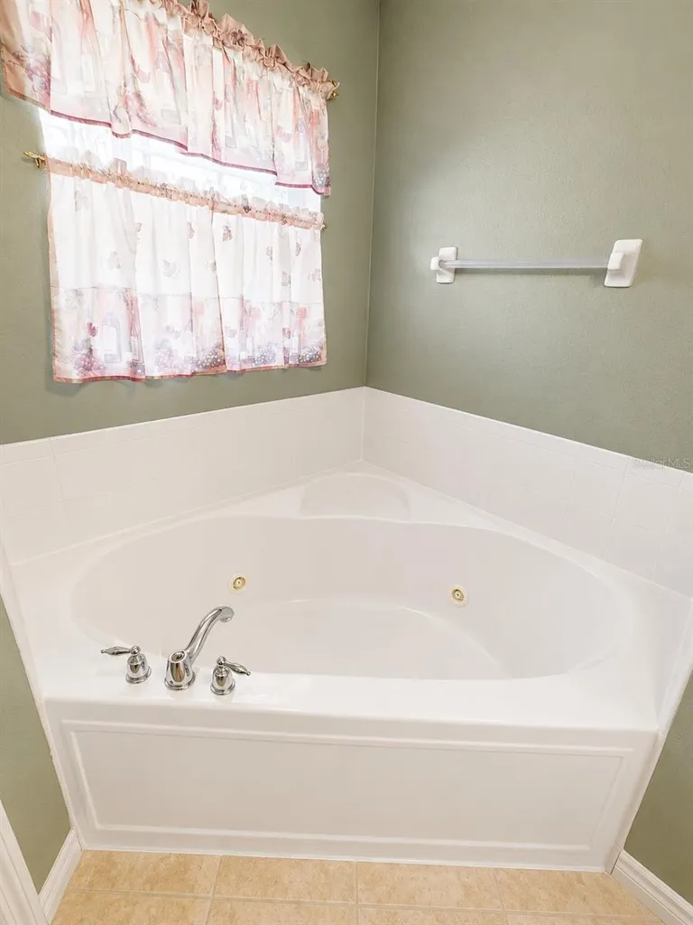9305 Mandrake Court Tampa FL 33647