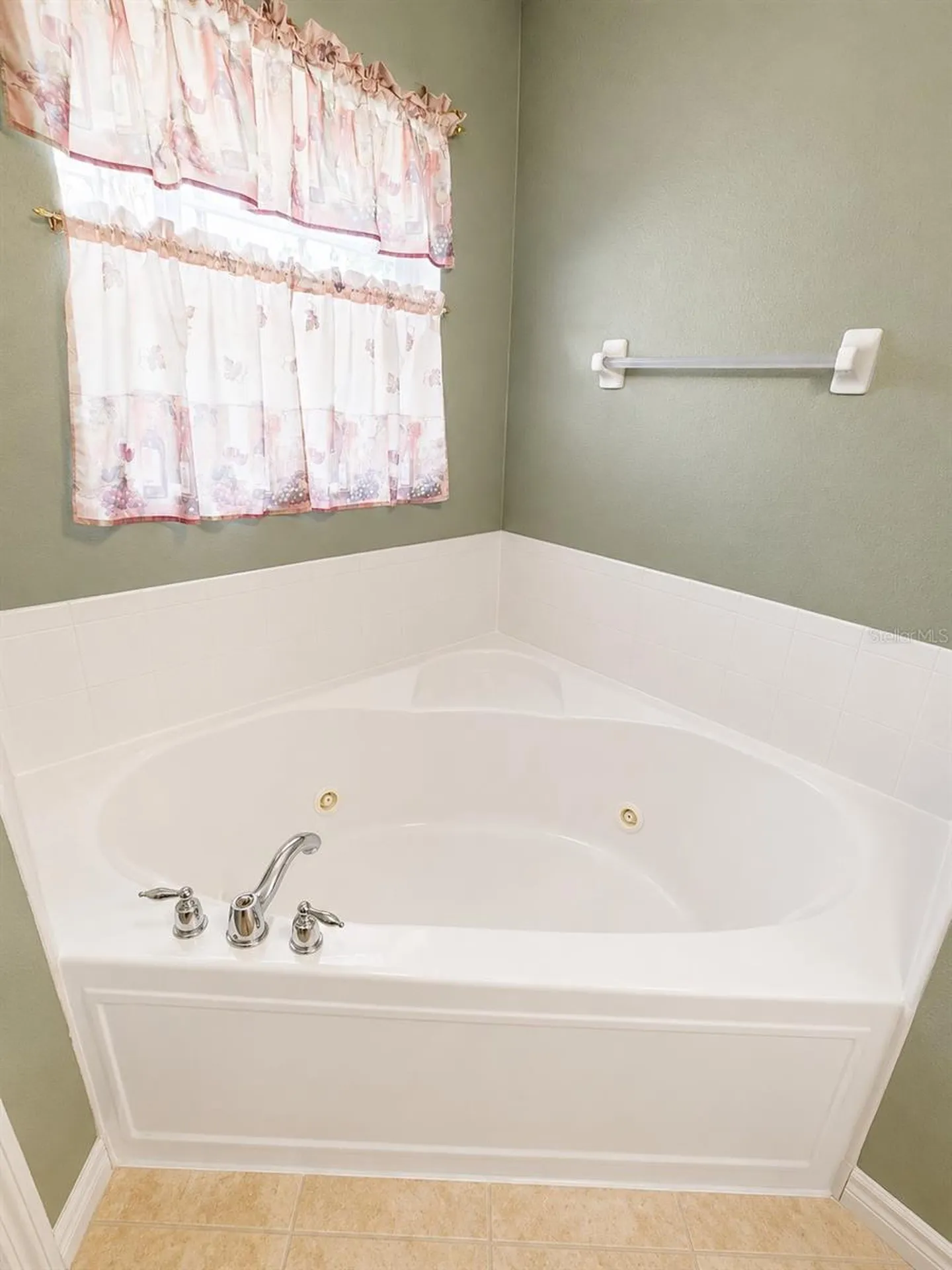9305 Mandrake Court Tampa FL 33647