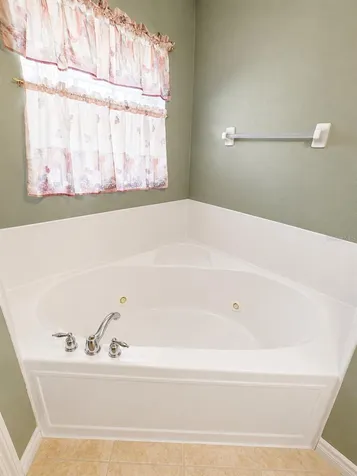 9305 Mandrake Court Tampa FL 33647