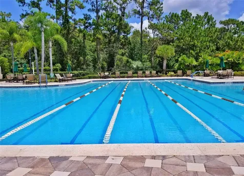 9305 Mandrake Court Tampa FL 33647
