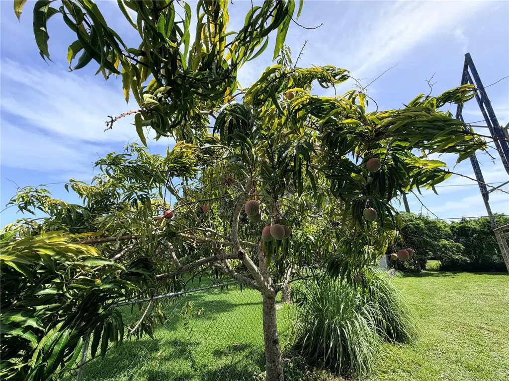 125 4th Street Naples FL 34113