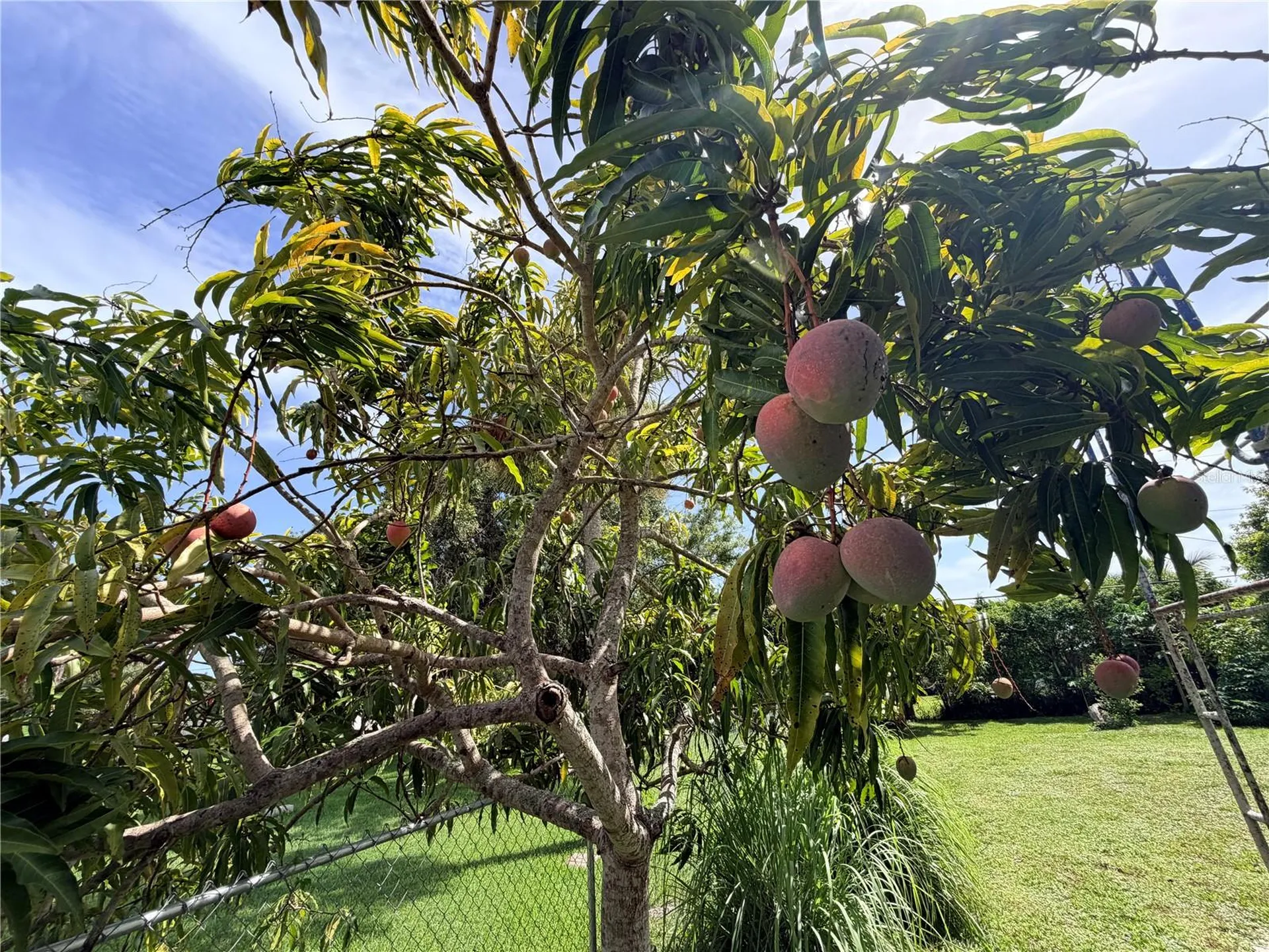 125 4th Street Naples FL 34113
