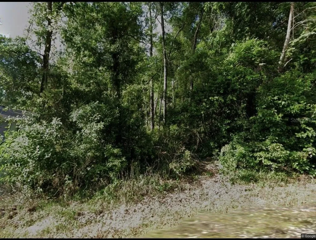 6370 E Oneida Street Inverness FL 34452