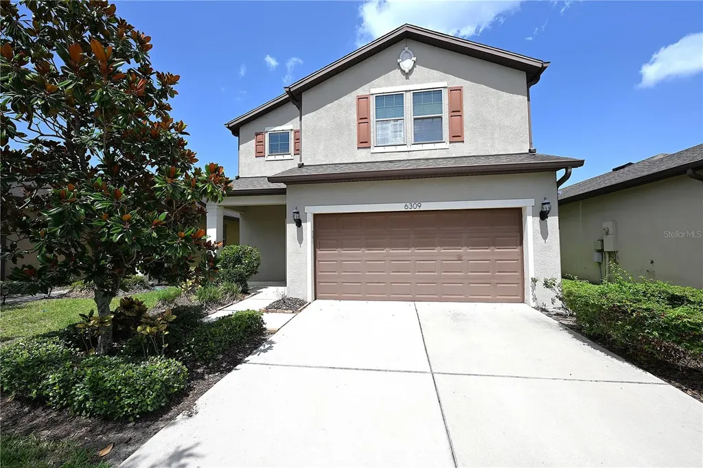 6309 Yellow Buckeye Drive Riverview FL 33578
