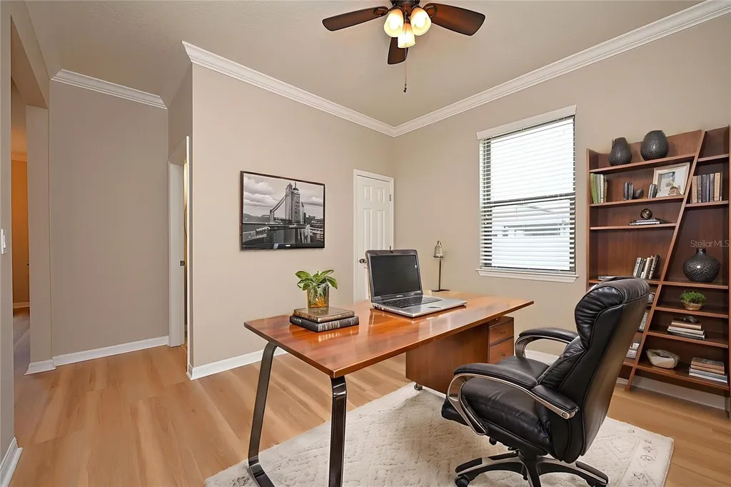 6309 Yellow Buckeye Drive Riverview FL 33578