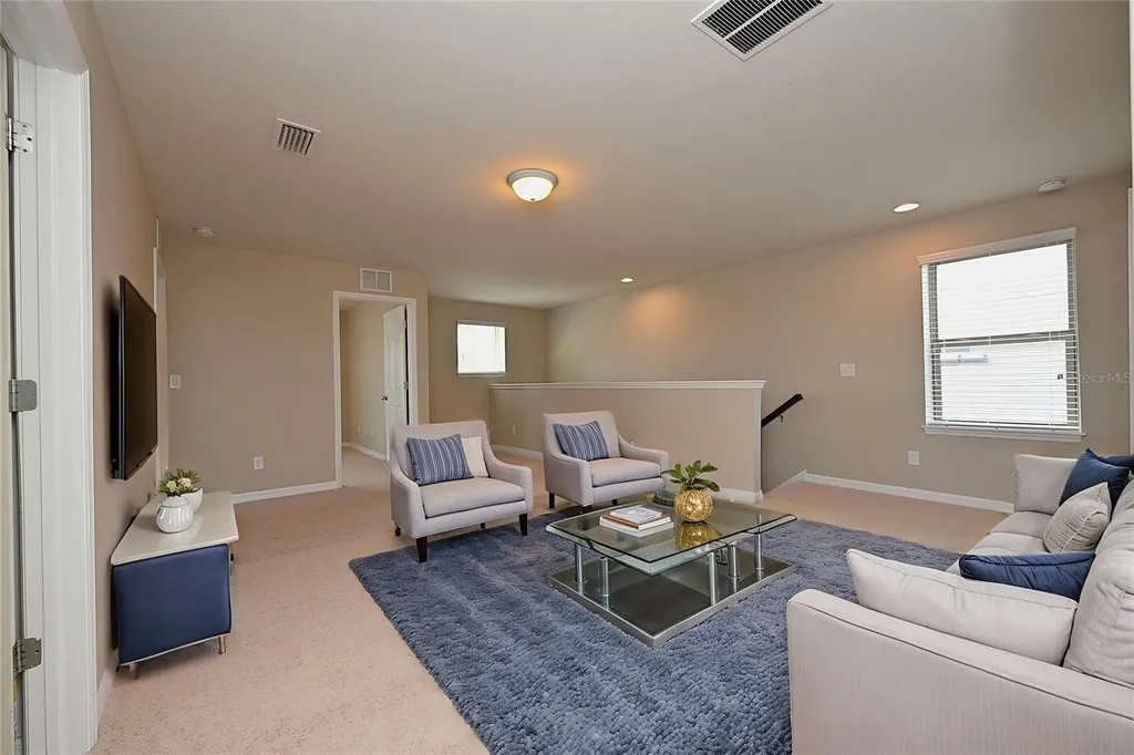 6309 Yellow Buckeye Drive Riverview FL 33578