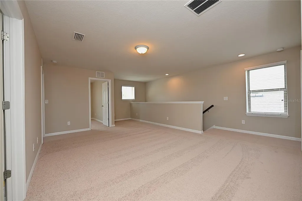 6309 Yellow Buckeye Drive Riverview FL 33578