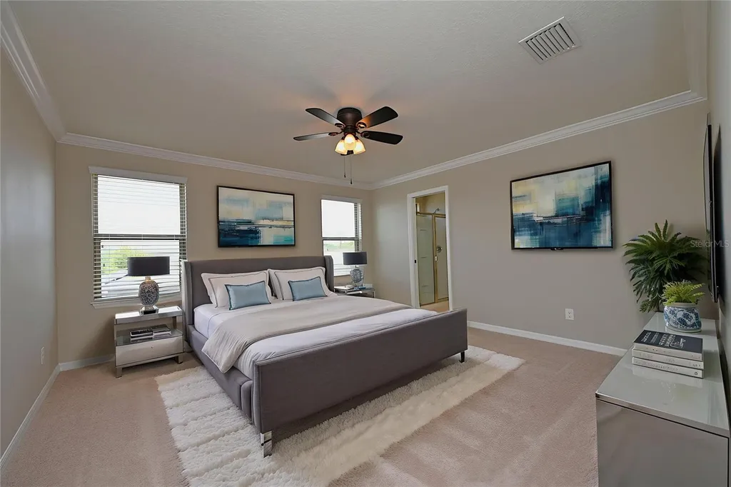 6309 Yellow Buckeye Drive Riverview FL 33578