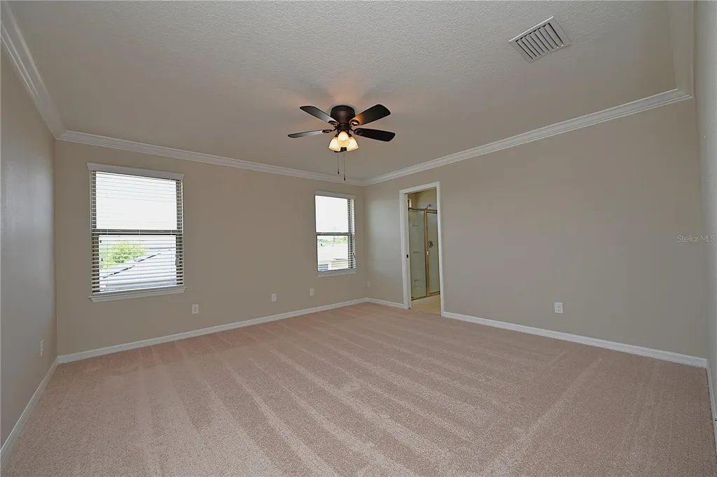6309 Yellow Buckeye Drive Riverview FL 33578