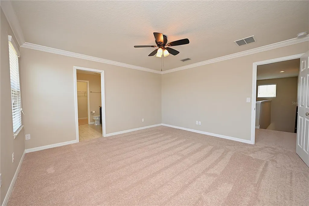 6309 Yellow Buckeye Drive Riverview FL 33578