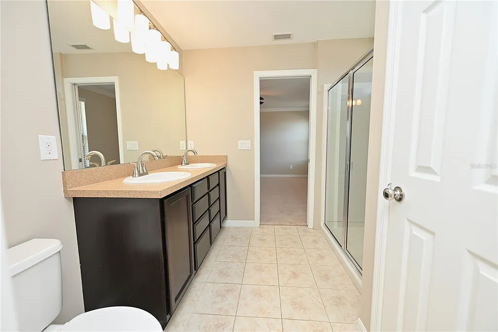 6309 Yellow Buckeye Drive Riverview FL 33578