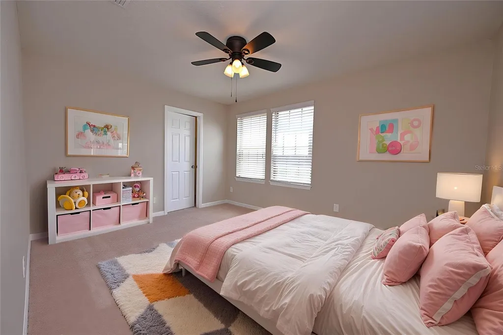 6309 Yellow Buckeye Drive Riverview FL 33578