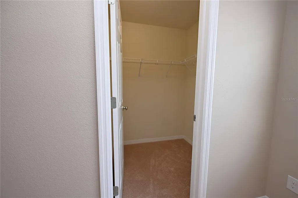 6309 Yellow Buckeye Drive Riverview FL 33578