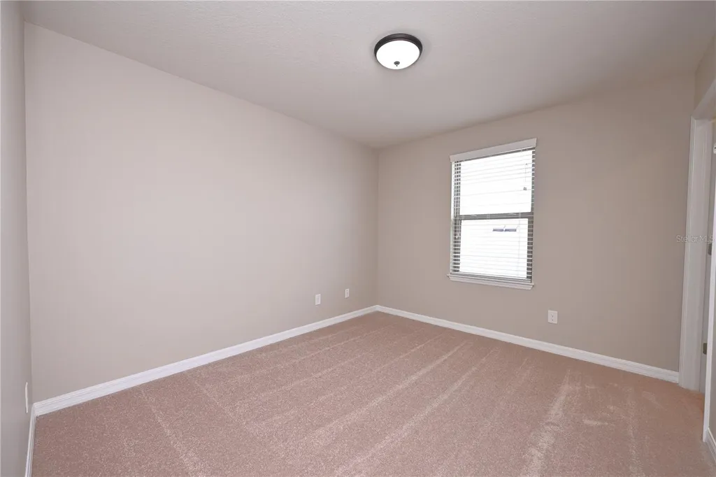 6309 Yellow Buckeye Drive Riverview FL 33578