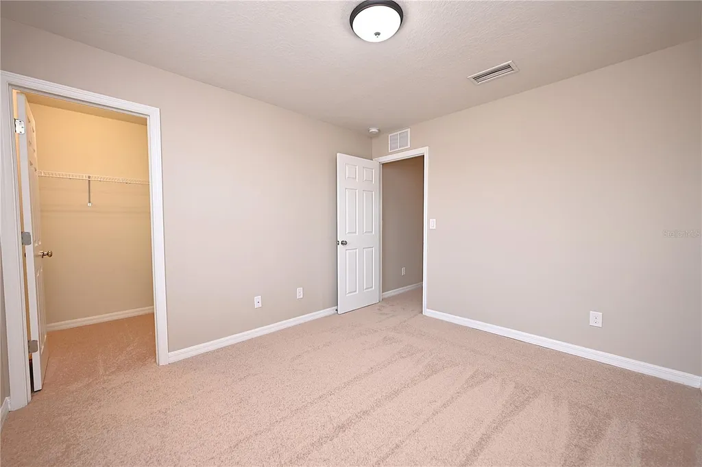 6309 Yellow Buckeye Drive Riverview FL 33578