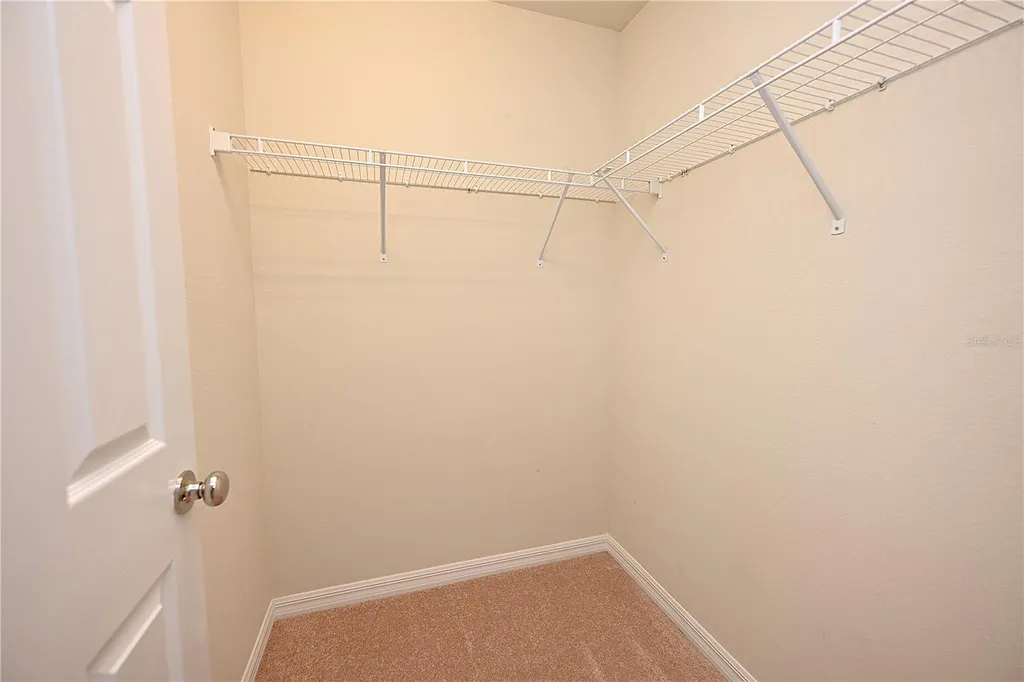 6309 Yellow Buckeye Drive Riverview FL 33578