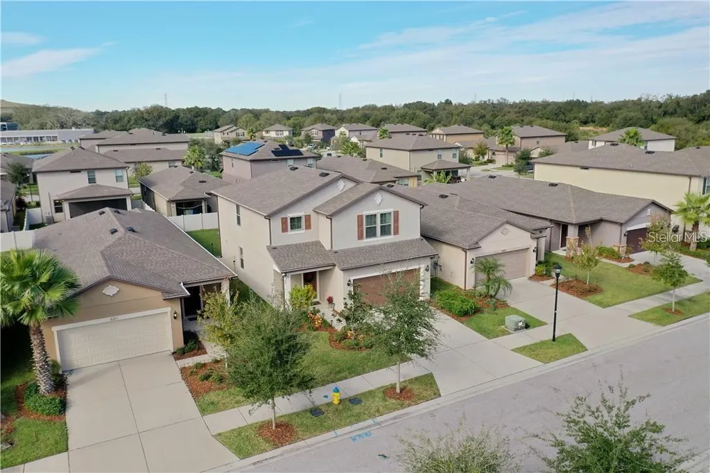 6309 Yellow Buckeye Drive Riverview FL 33578