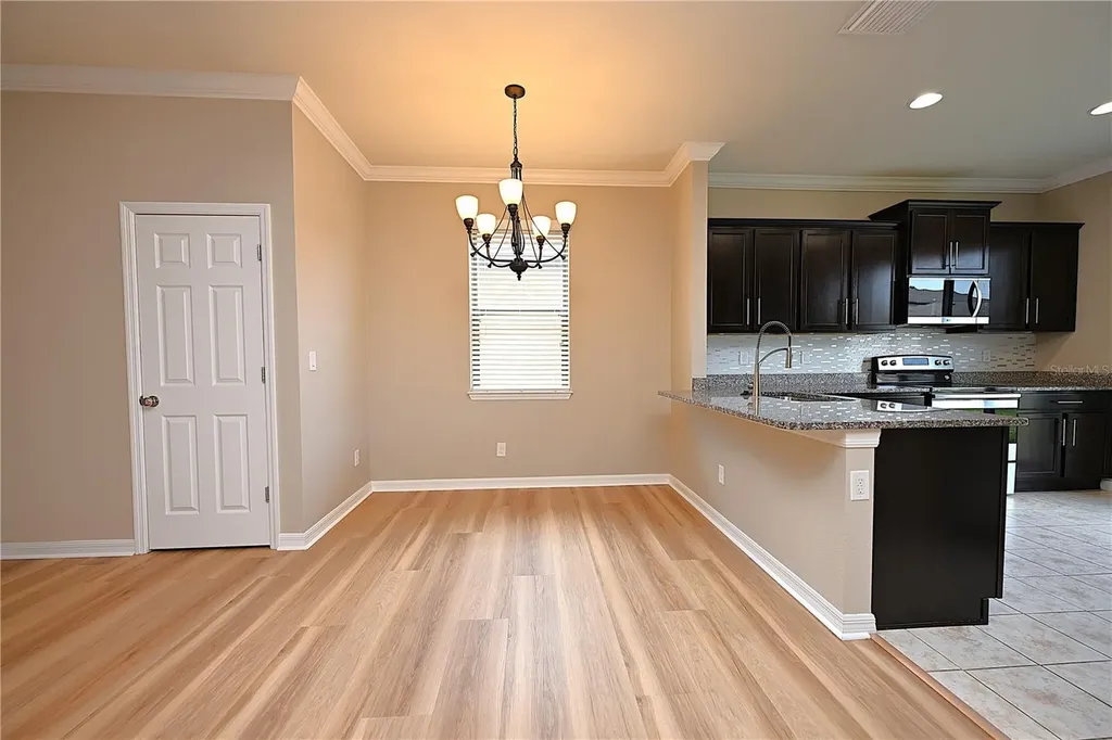 6309 Yellow Buckeye Drive Riverview FL 33578