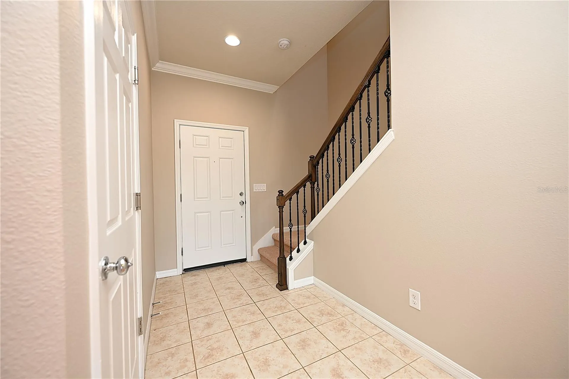 6309 Yellow Buckeye Drive Riverview FL 33578