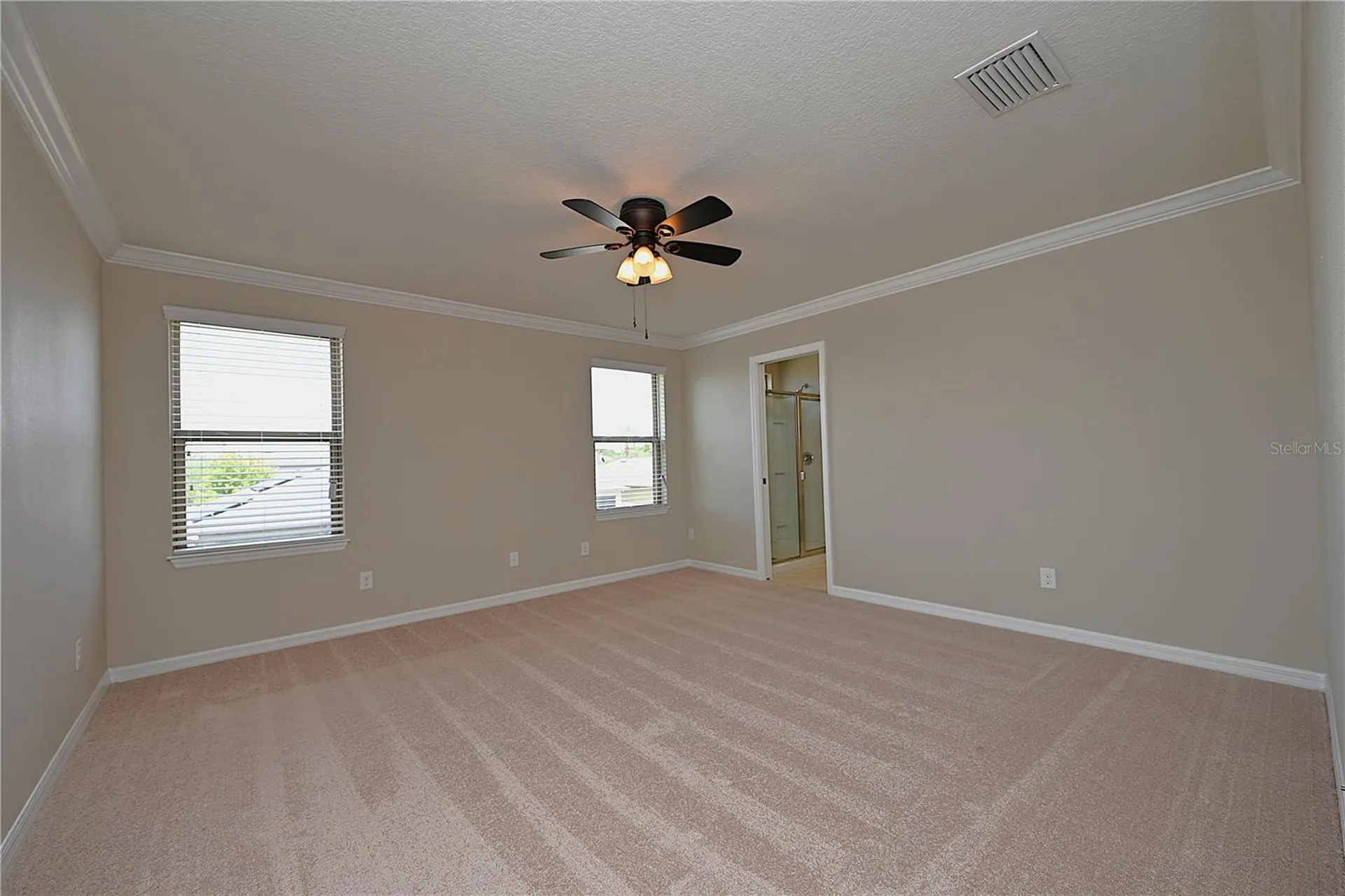 6309 Yellow Buckeye Drive Riverview FL 33578