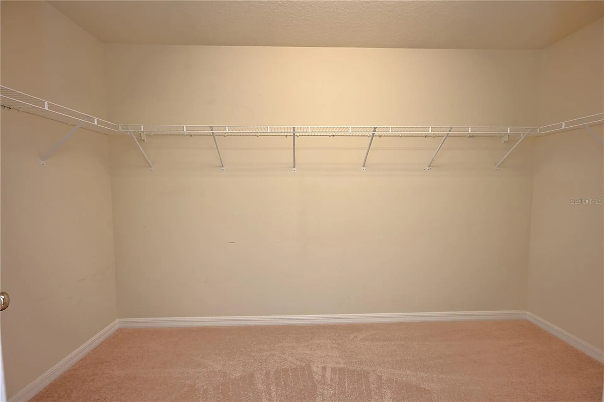 6309 Yellow Buckeye Drive Riverview FL 33578