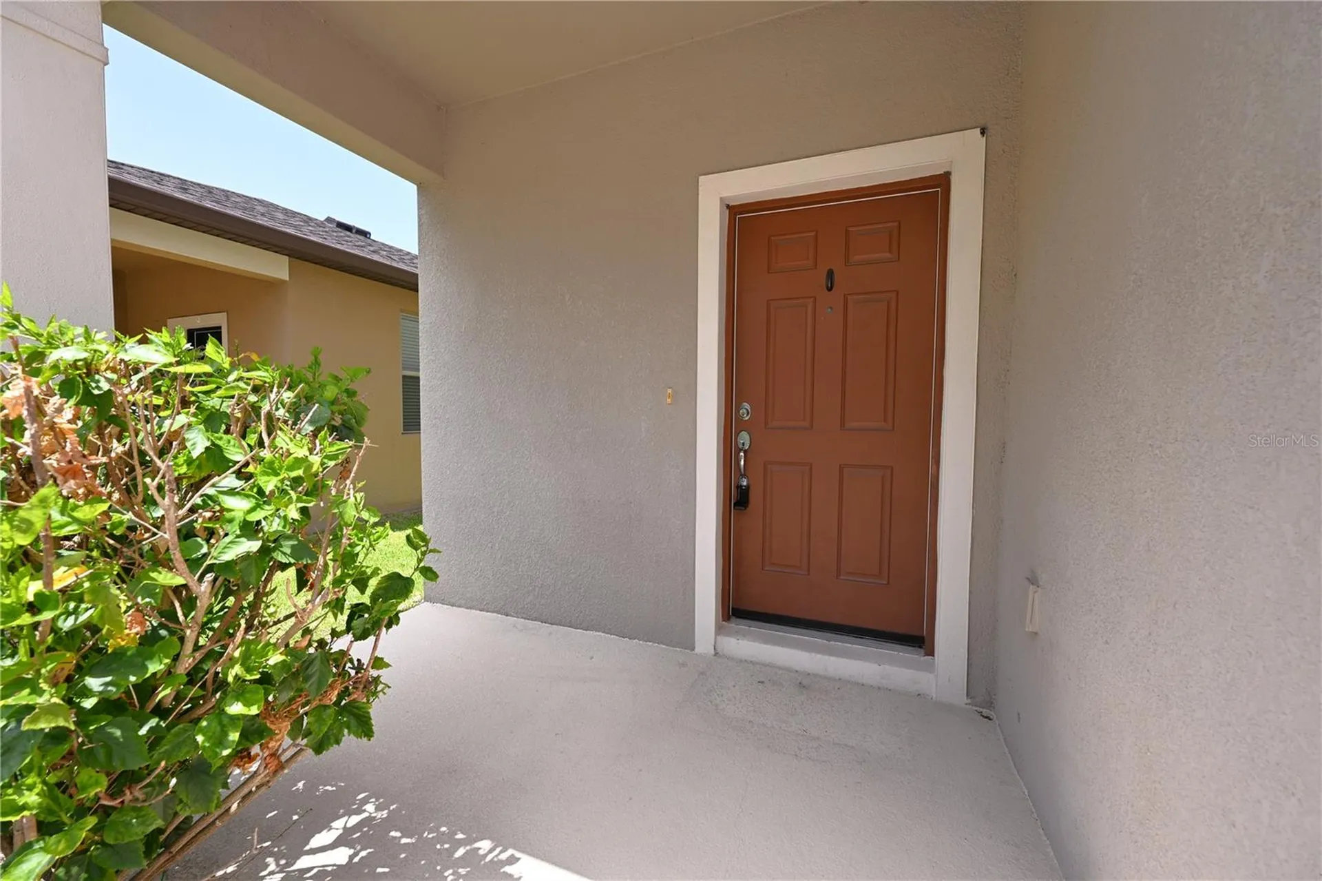 6309 Yellow Buckeye Drive Riverview FL 33578
