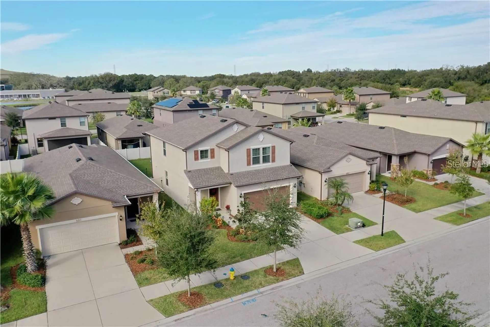 6309 Yellow Buckeye Drive Riverview FL 33578