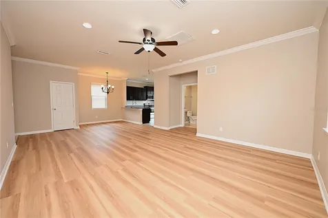 6309 Yellow Buckeye Drive Riverview FL 33578