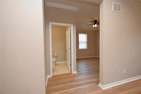 6309 Yellow Buckeye Drive Riverview FL 33578