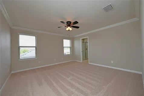 6309 Yellow Buckeye Drive Riverview FL 33578