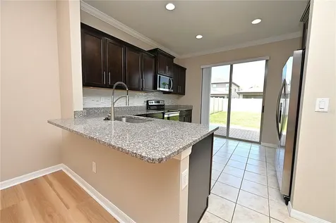 6309 Yellow Buckeye Drive Riverview FL 33578