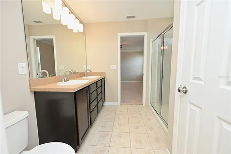 6309 Yellow Buckeye Drive Riverview FL 33578