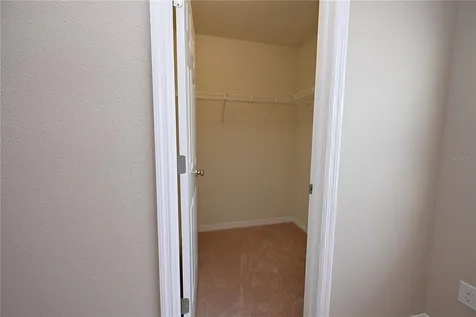 6309 Yellow Buckeye Drive Riverview FL 33578