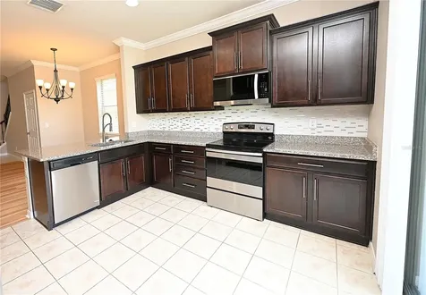 6309 Yellow Buckeye Drive Riverview FL 33578