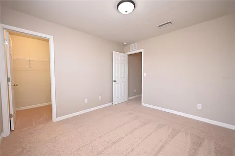 6309 Yellow Buckeye Drive Riverview FL 33578