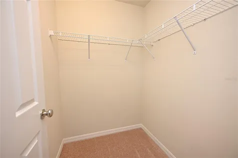 6309 Yellow Buckeye Drive Riverview FL 33578