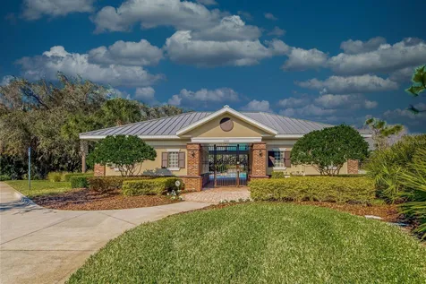6309 Yellow Buckeye Drive Riverview FL 33578