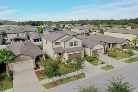 6309 Yellow Buckeye Drive Riverview FL 33578