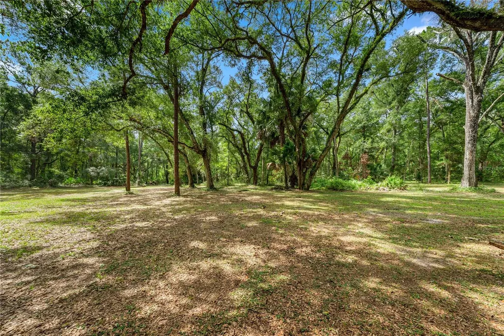 7850 NE 178th Terrace Williston FL 32696
