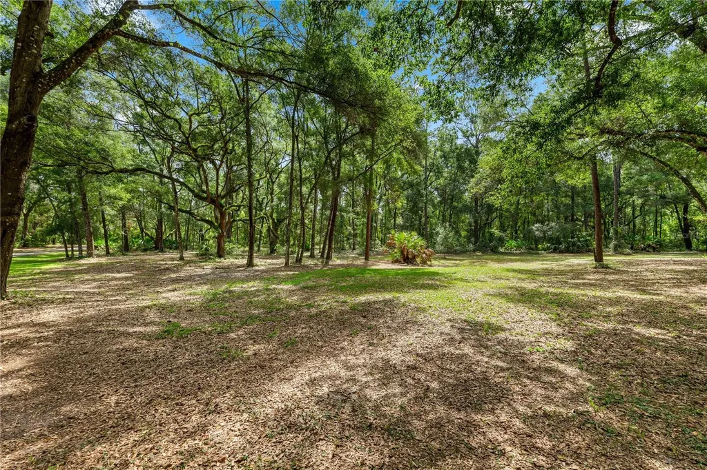 7850 NE 178th Terrace Williston FL 32696