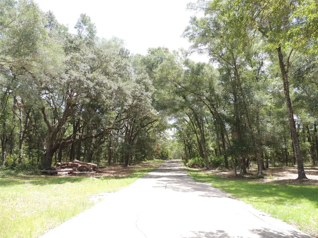 7850 NE 178th Terrace Williston FL 32696
