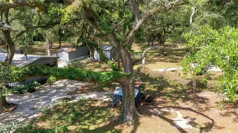 7850 NE 178th Terrace Williston FL 32696