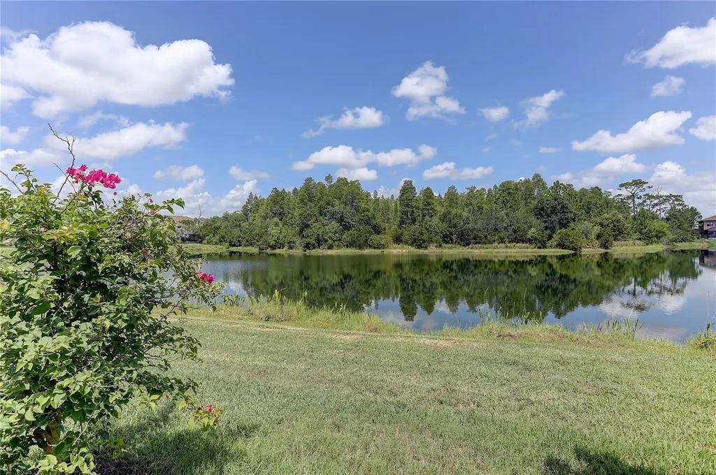 18014 Woodland View Drive Lutz FL 33548