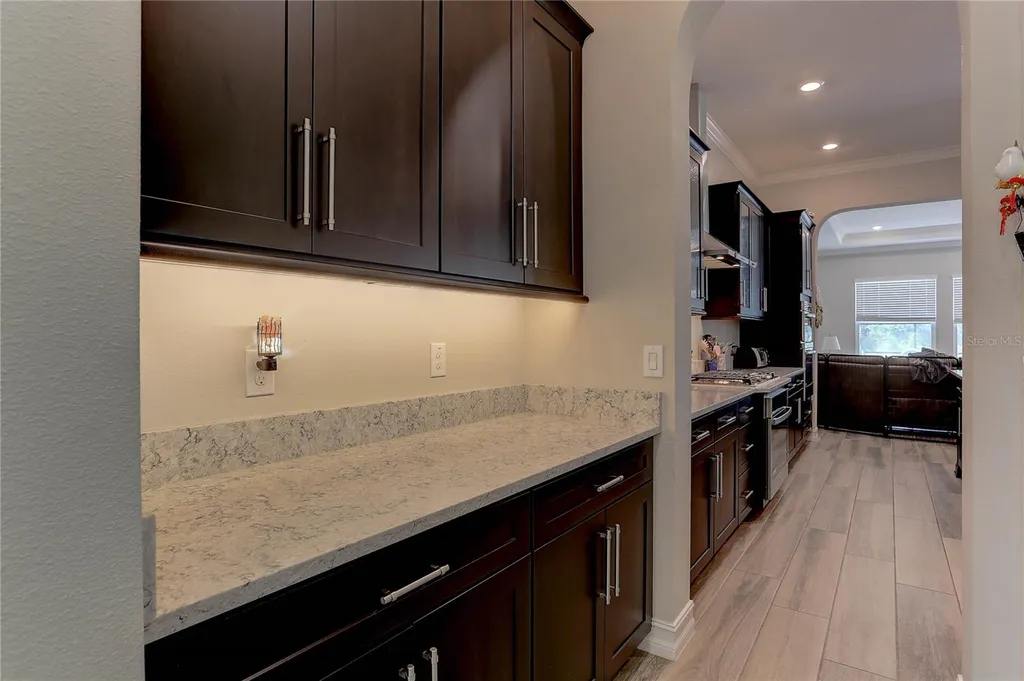 18014 Woodland View Drive Lutz FL 33548
