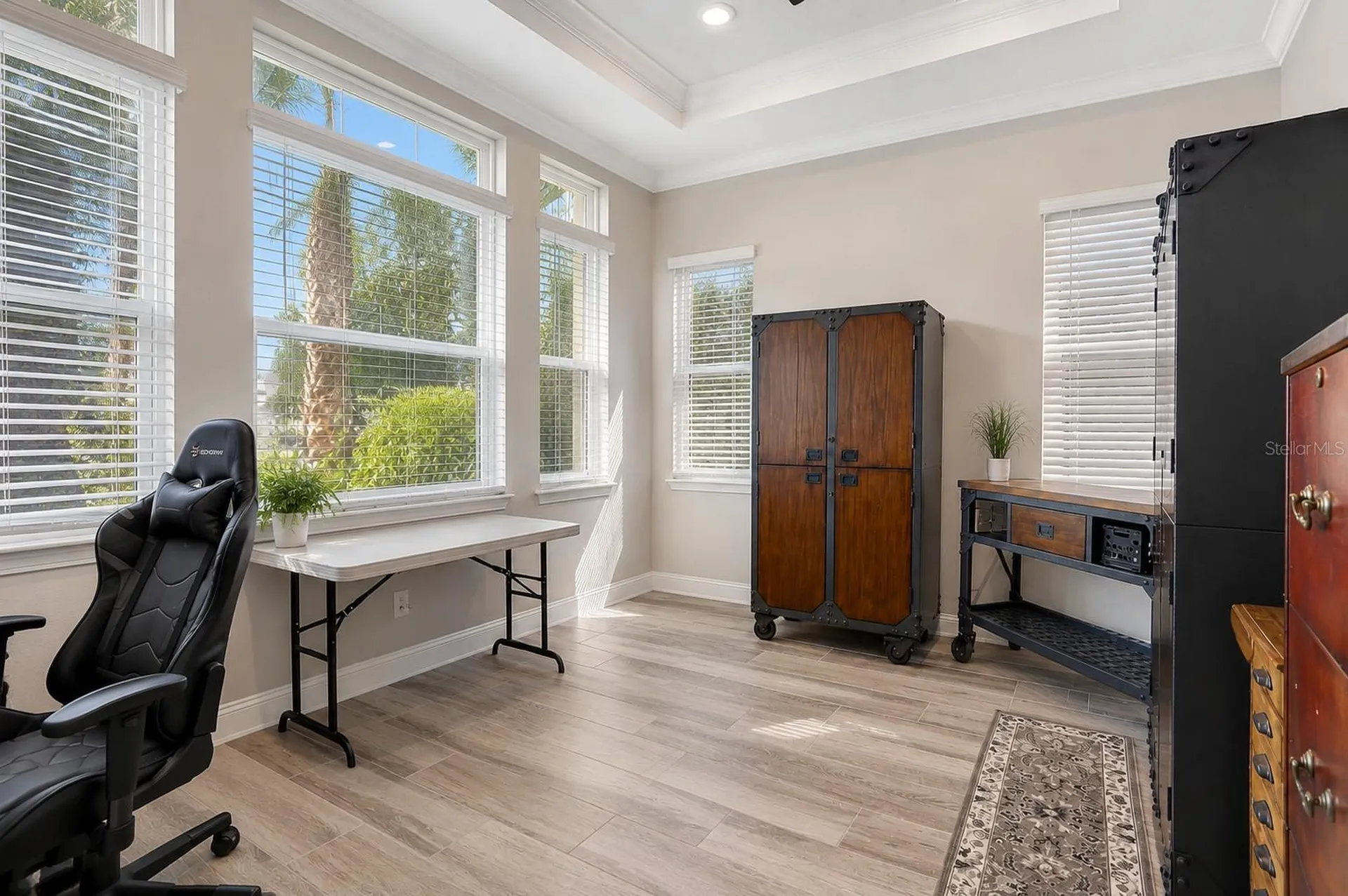 18014 Woodland View Drive Lutz FL 33548